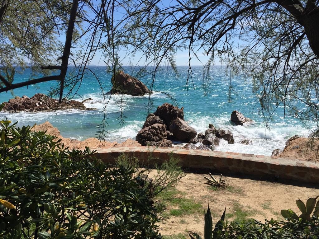 Dionysos Vue Mer Cannes Pokój zdjęcie